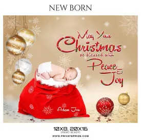 Adam Jon - Christmas New Born Photography Digital Backdrop