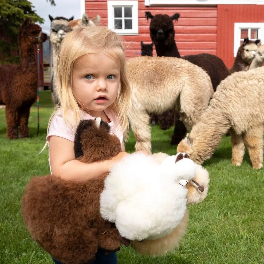 Alpaca Plush Toy