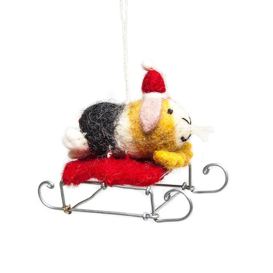 Amica Mini Guinea Pig on Sledge