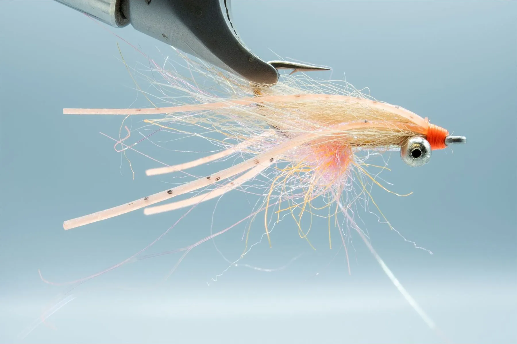 Arctic Bone Spawning Shrimp #6