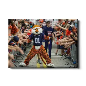 Auburn Tigers - Aubie at the Tiger Walk