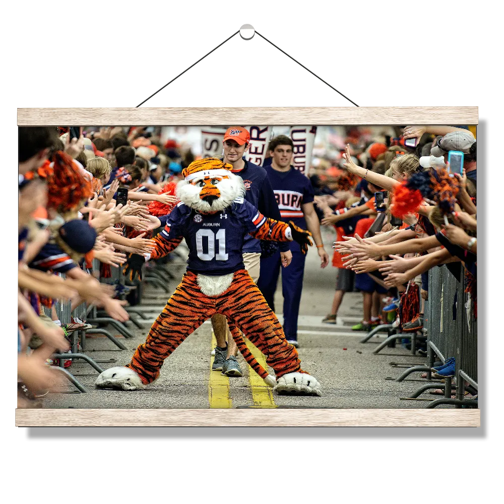 Auburn Tigers - Aubie at the Tiger Walk