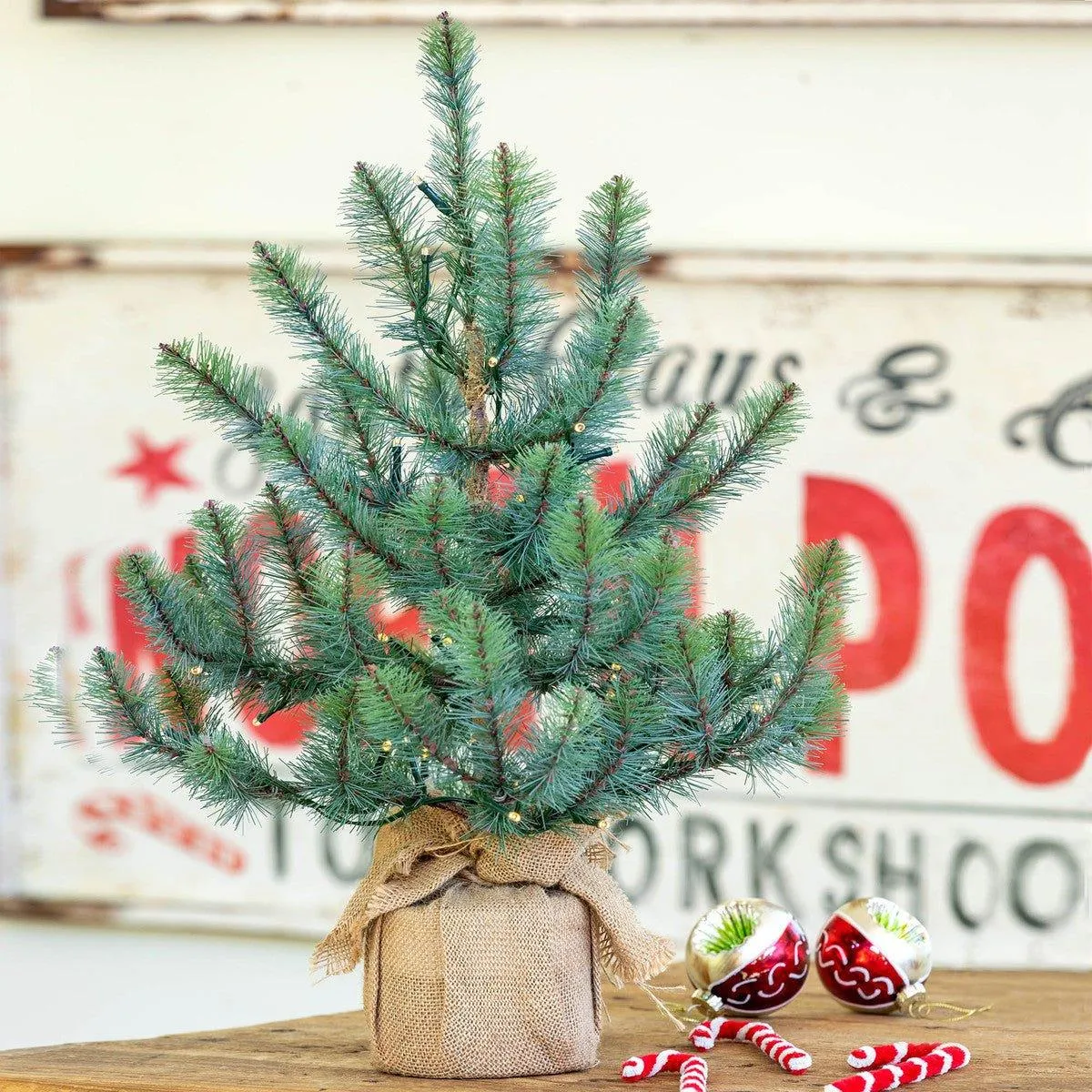 Burlap Wrap Blue Spruce Tree