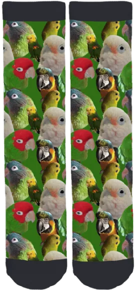 Capital Region Parrot Society Crew Socks