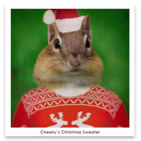 Cheeky's Christmas Sweater Magnet