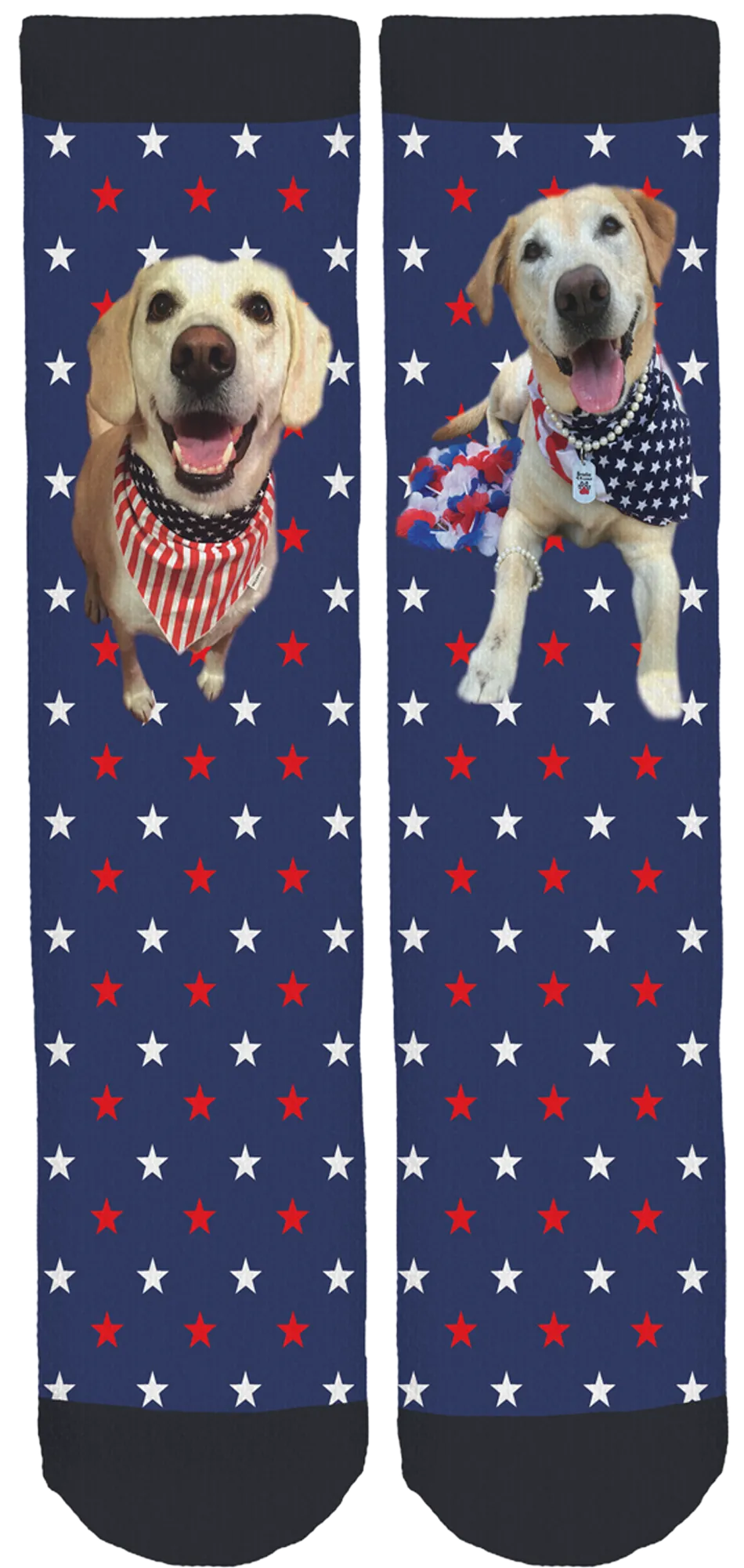 Dusty Lynn And Brodie for Canine Angels Crew Socks