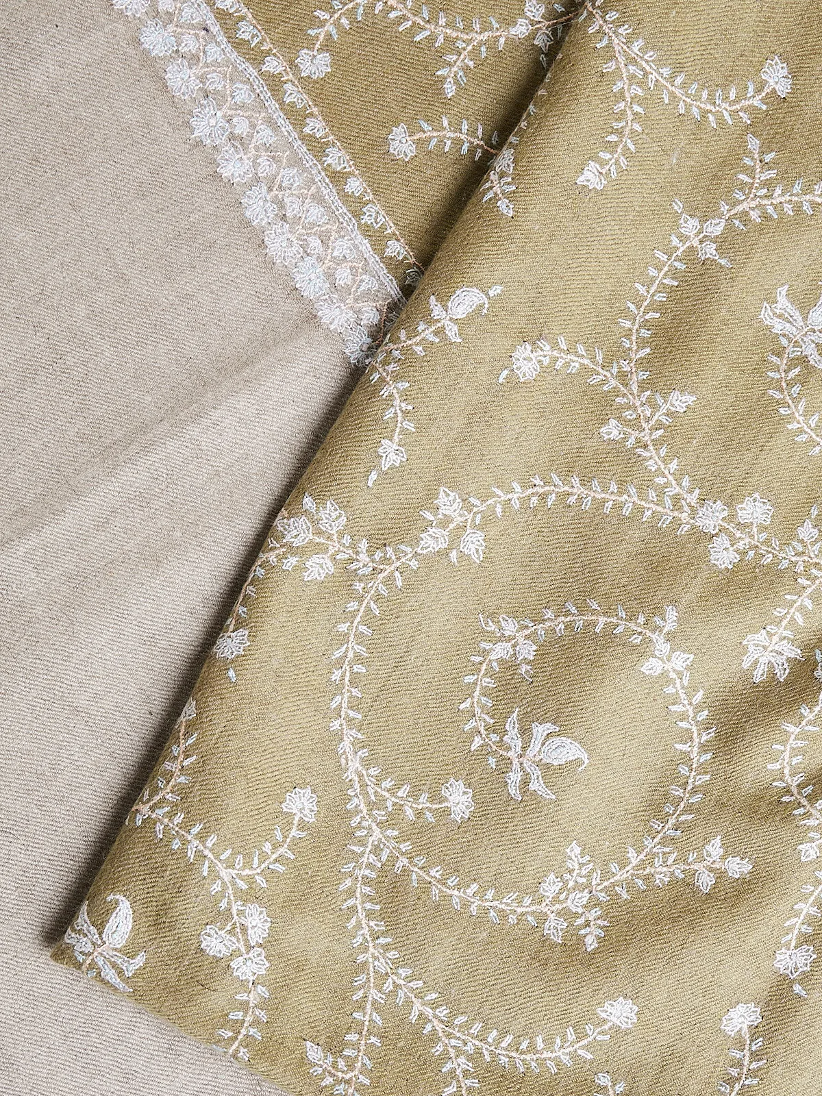 Embroidered Pashmina Shawl in Pistachio and Cream