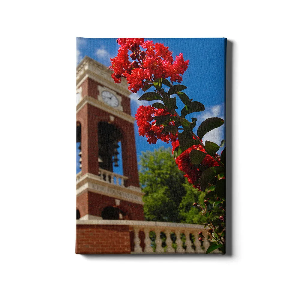 ETSU - Carillon Bloom