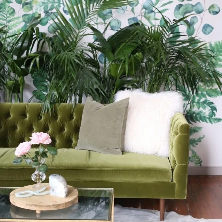 Fern   Eucalyptus Wall Decal Set