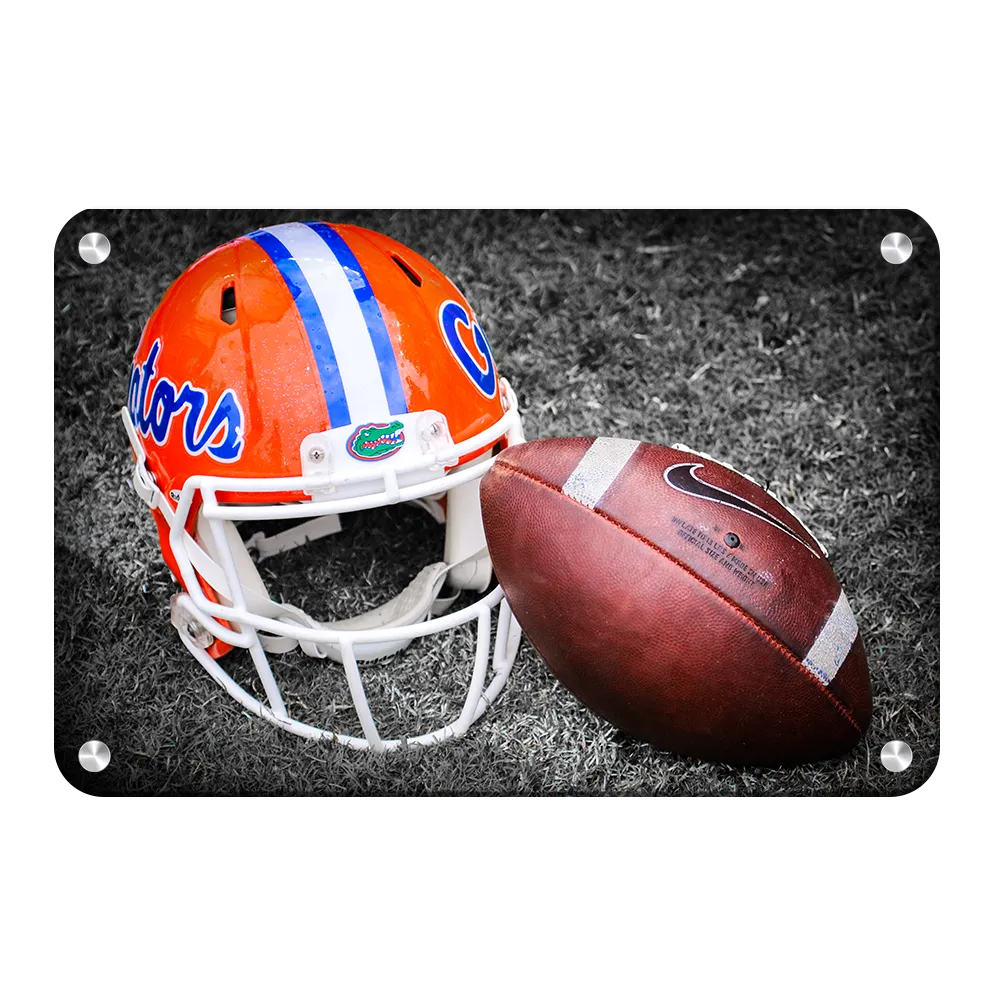 Florida Gators - Gator Ball Helmet