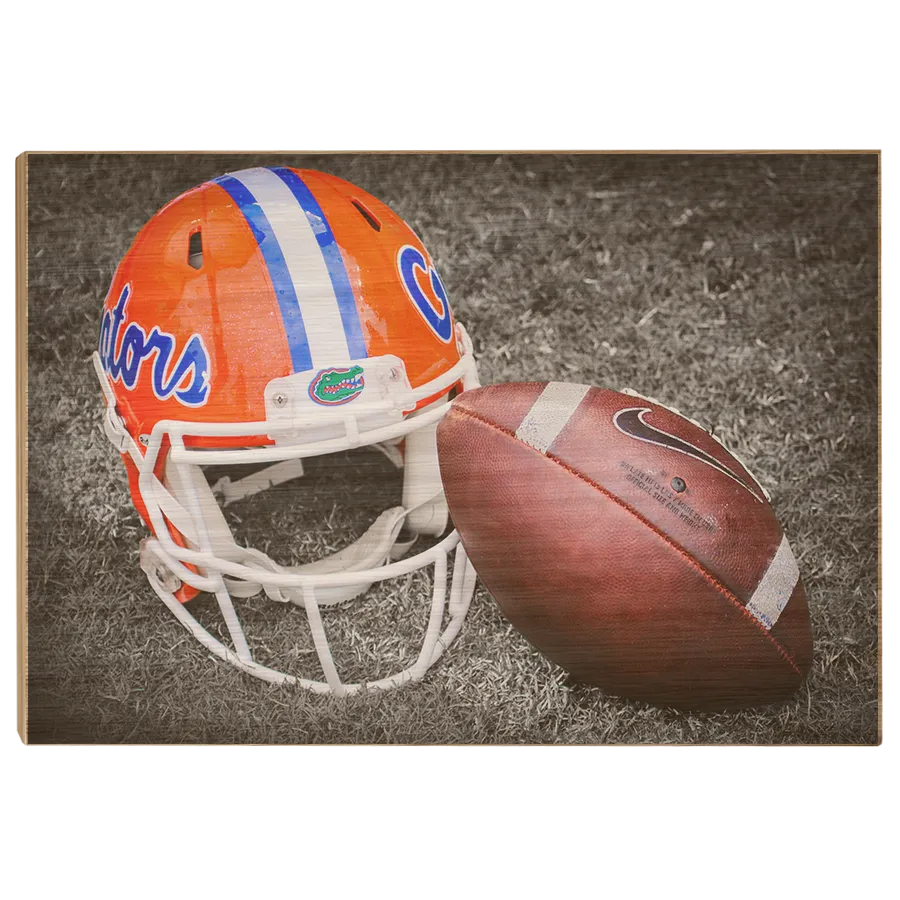 Florida Gators - Gator Ball Helmet