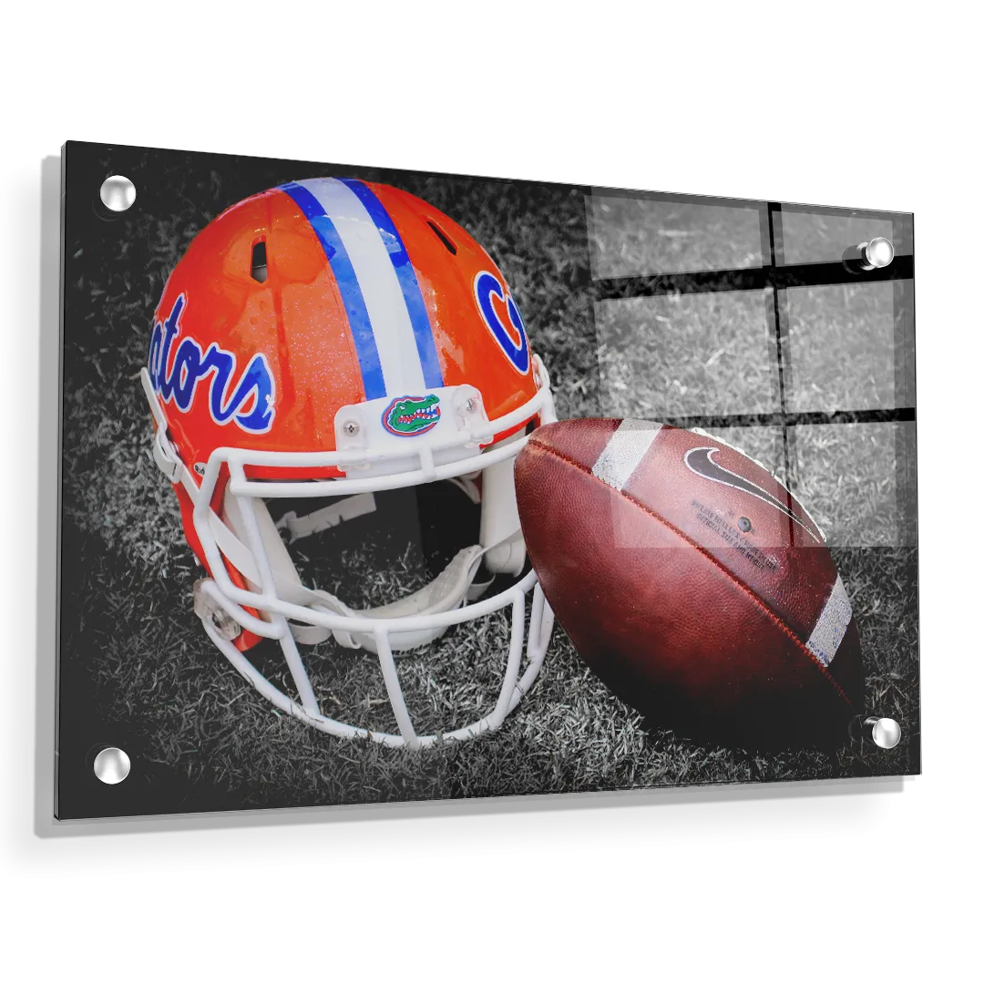 Florida Gators - Gator Ball Helmet