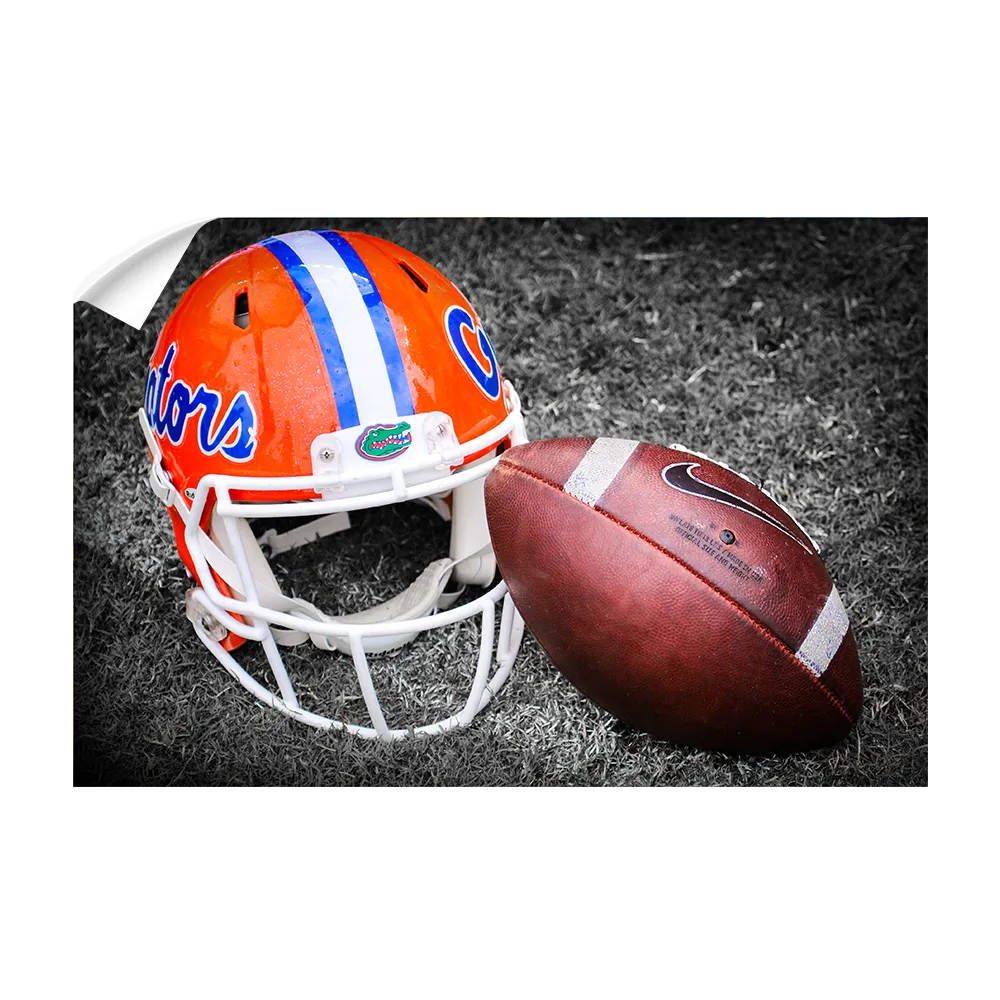 Florida Gators - Gator Ball Helmet