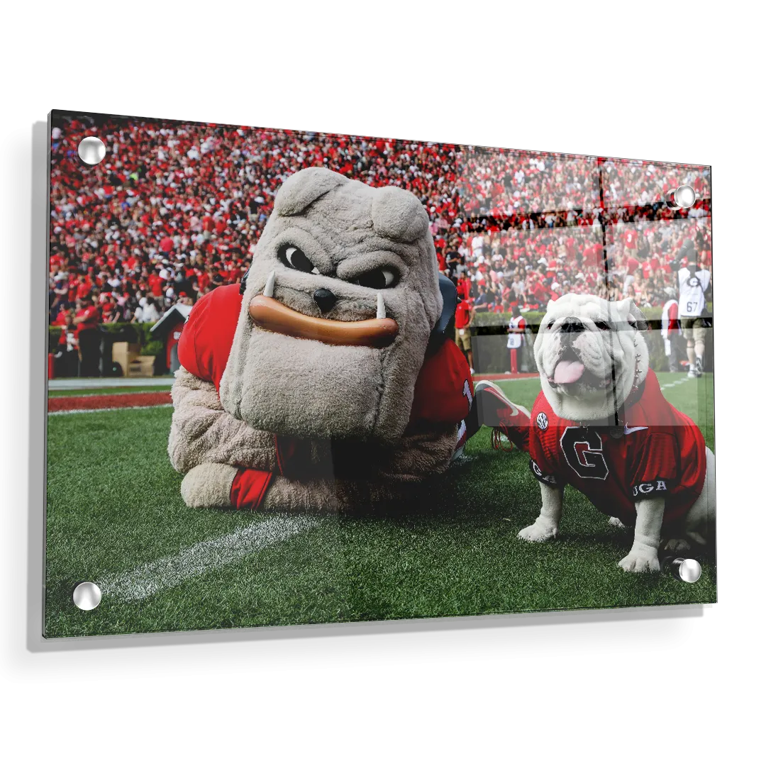 Georgia Bulldogs - Hairy and Uga Game Ready