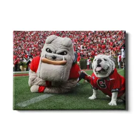 Georgia Bulldogs - Hairy and Uga Game Ready