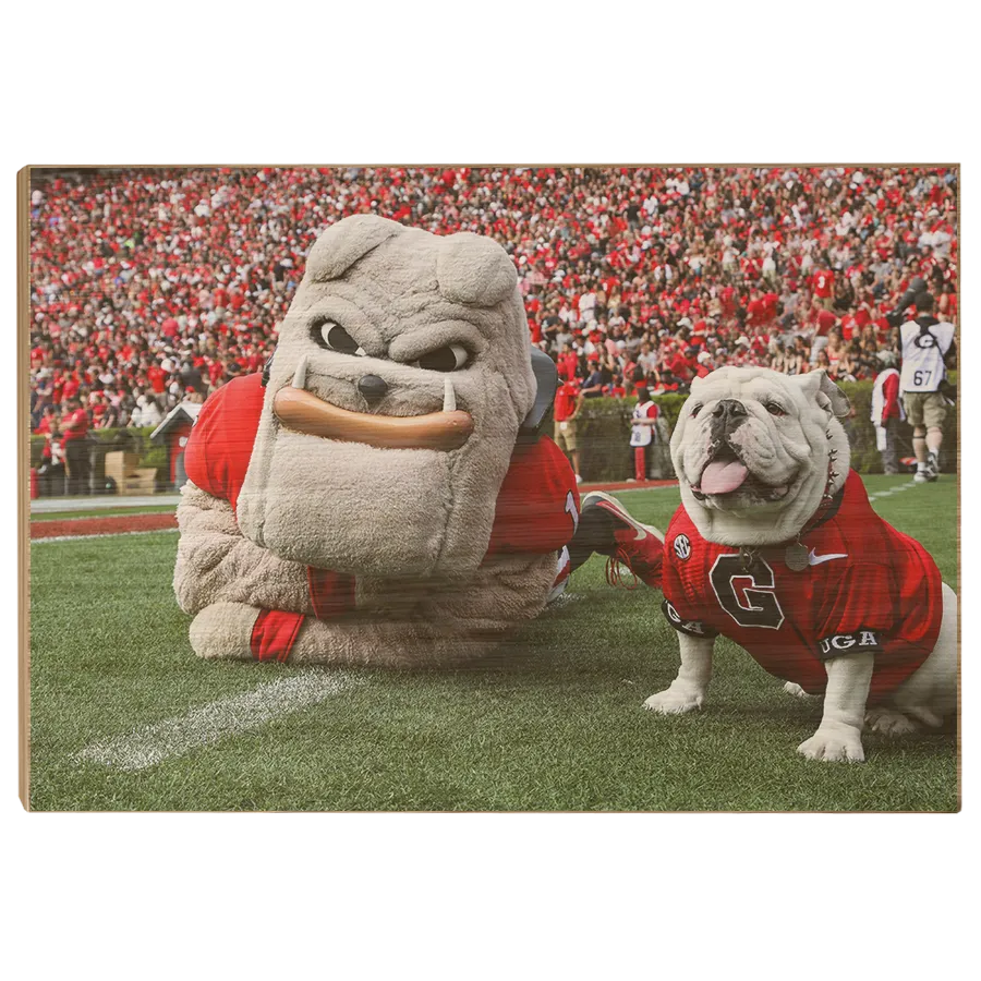 Georgia Bulldogs - Hairy and Uga Game Ready