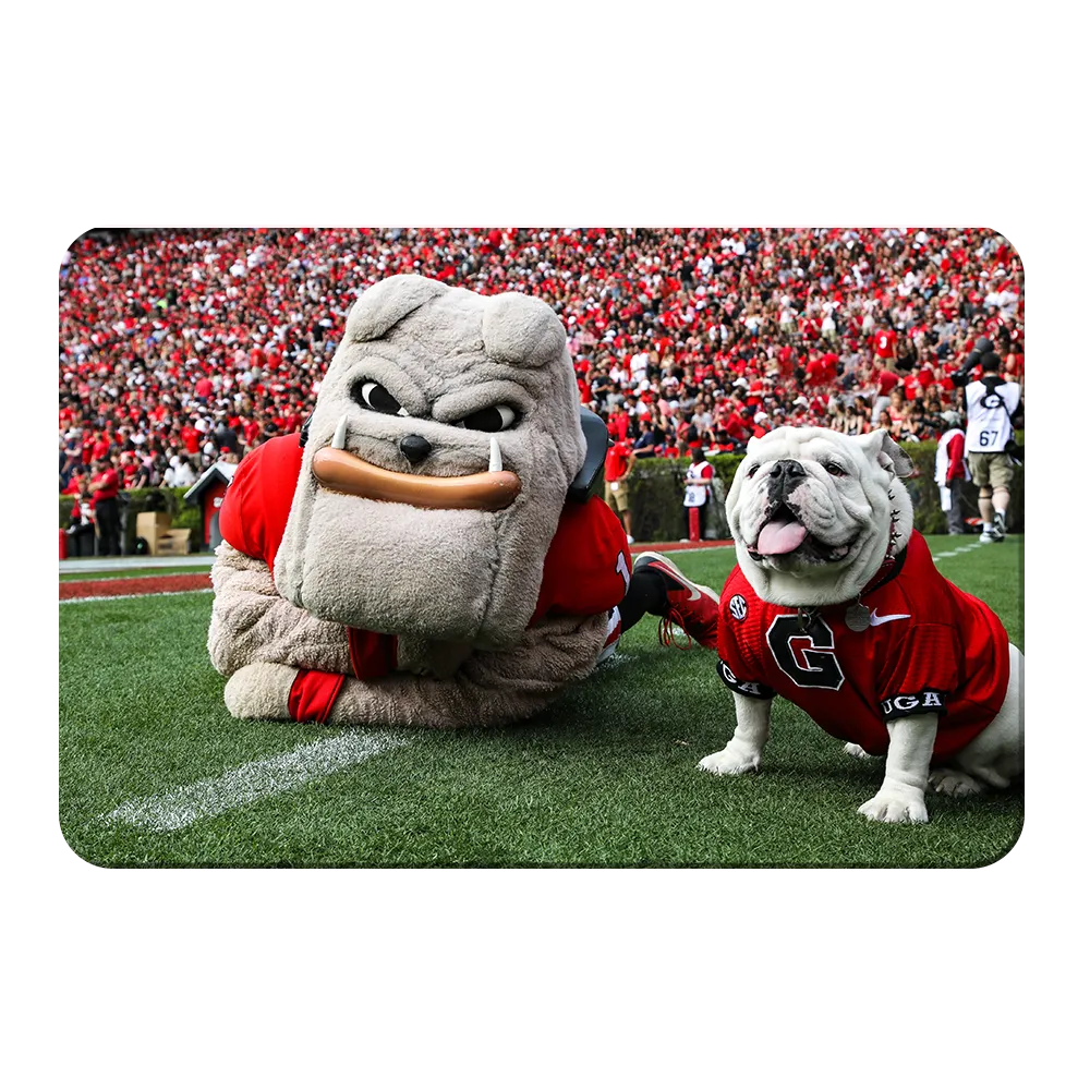 Georgia Bulldogs - Hairy and Uga Game Ready