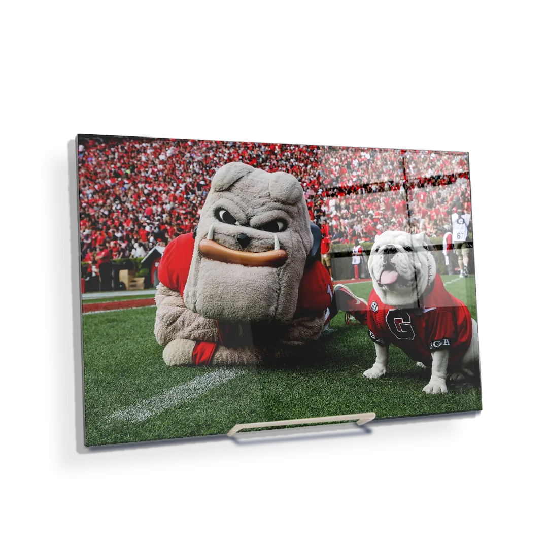 Georgia Bulldogs - Hairy and Uga Game Ready