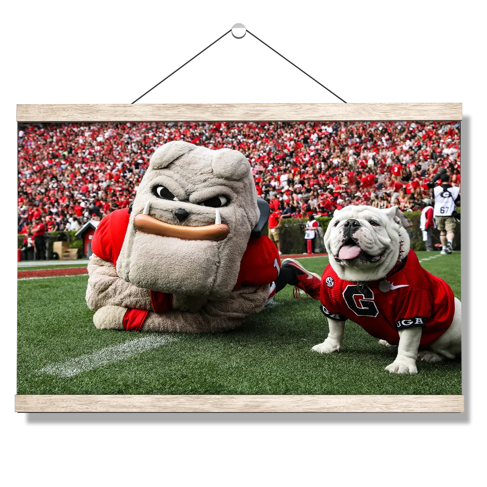 Georgia Bulldogs - Hairy and Uga Game Ready