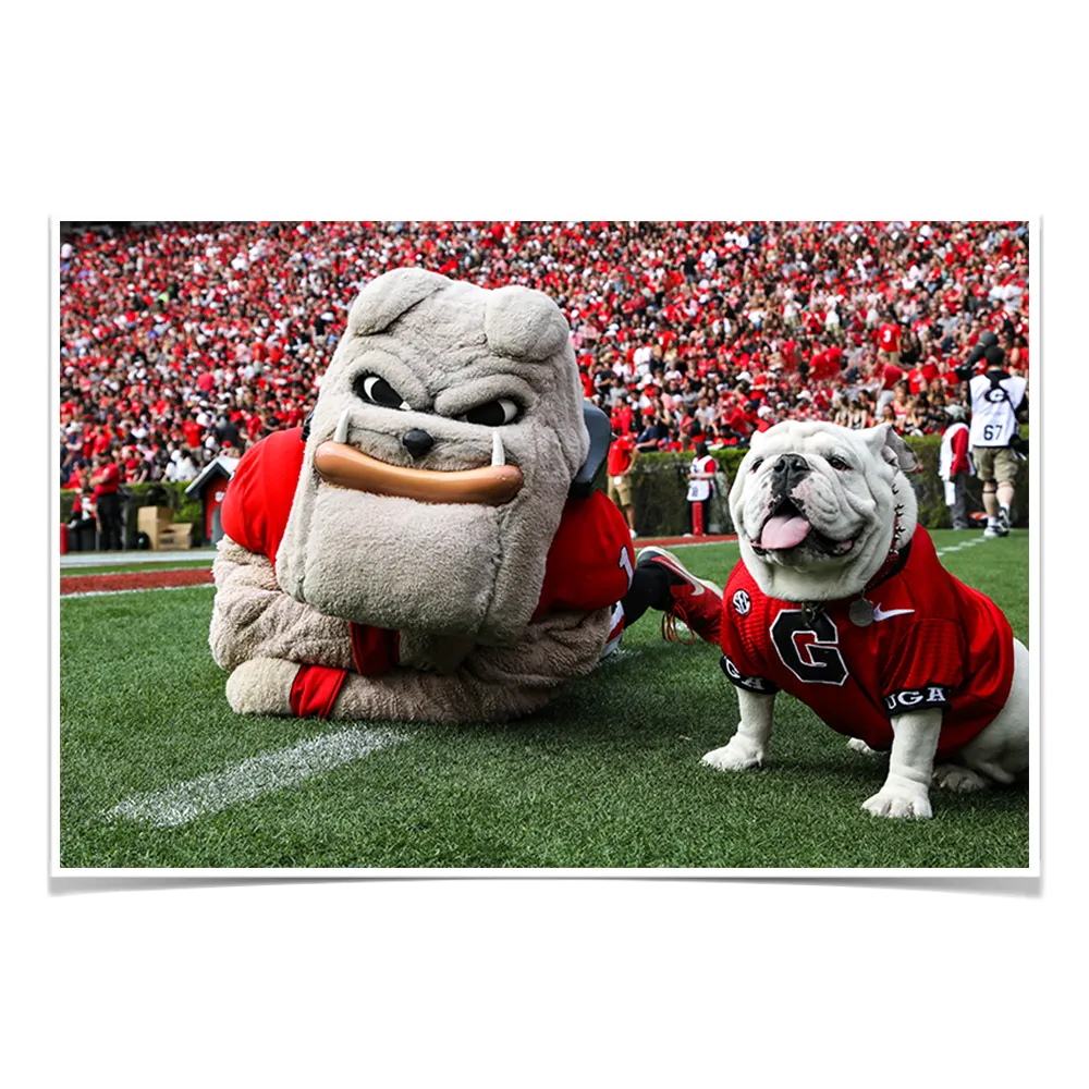 Georgia Bulldogs - Hairy and Uga Game Ready