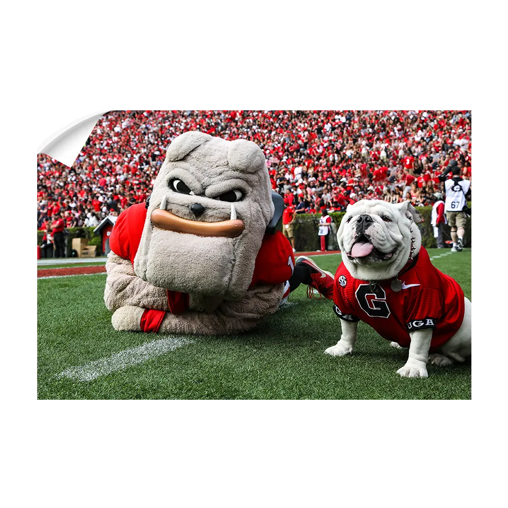 Georgia Bulldogs - Hairy and Uga Game Ready