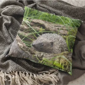 Hedgehog Cushion