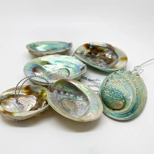 Natural Baby Paua Shell Christmas Ornament