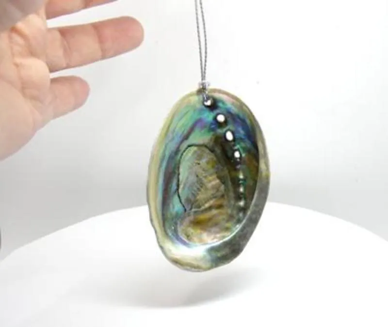 Natural Baby Paua Shell Christmas Ornament